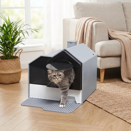 Chat maison de toilette sérénité et confort