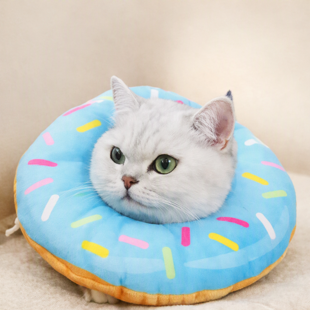 Collerette chat gonflable guerison paisible