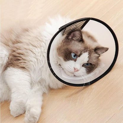 Collerette chat protection douce 