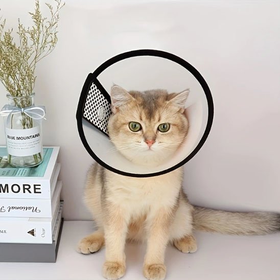 Collerette pour chats ajustable
