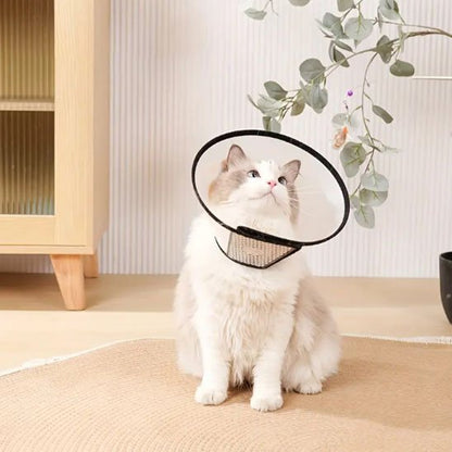 Collerette pour chats protection visuel