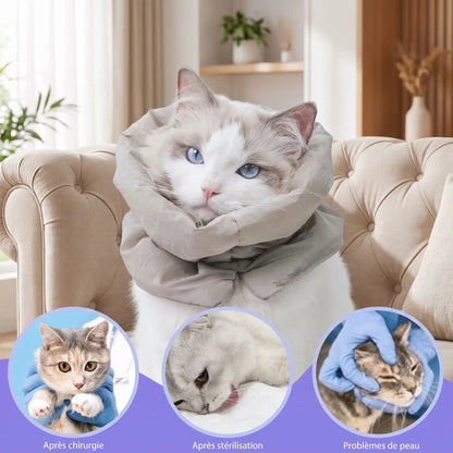 Collerette souple chat protection