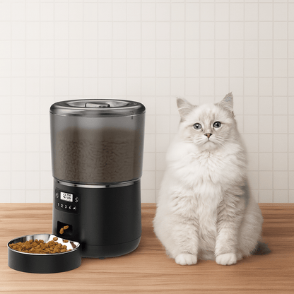Distributeur automatique croquettes chat chat distributeur couleur noir