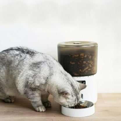 Distributeur automatique croquettes chat chat mange croquettes distributeur
