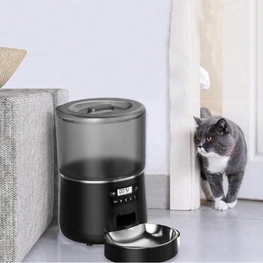 Distributeur automatique croquettes chat chat regarde distributeur