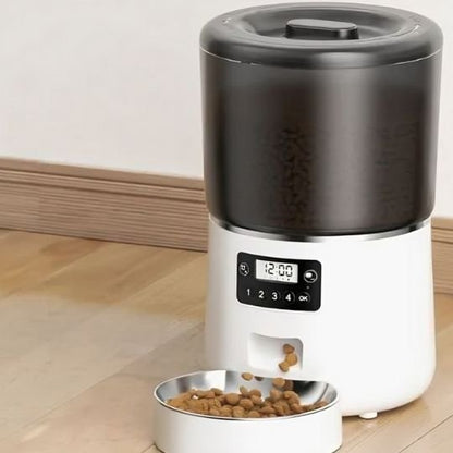 Distributeur automatique croquettes chat presentation