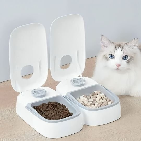 Distributeur automatique de croquettes pour chat chat couche distributeur bleu