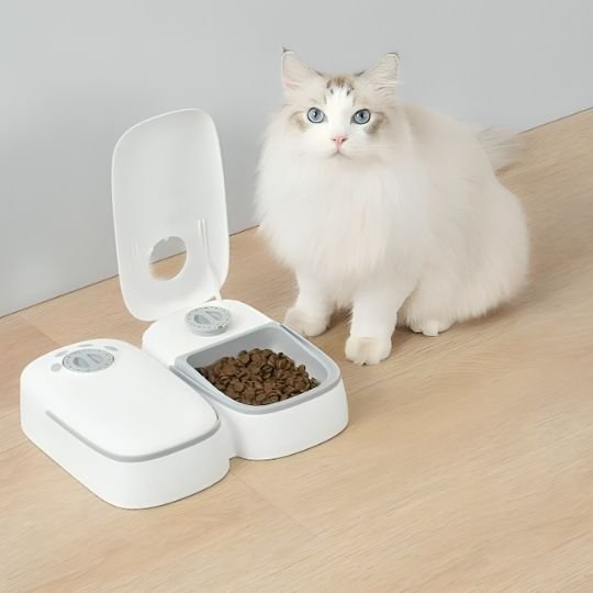 Distributeur automatique de croquettes pour chat chat debout distributeur bleu