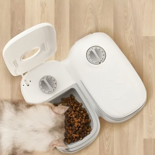 Distributeur automatique de croquettes pour chat chat mange croquettes distributeur