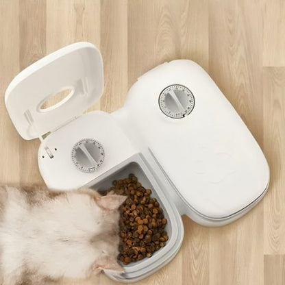 Distributeur automatique de croquettes pour chat chat mange croquettes distributeur