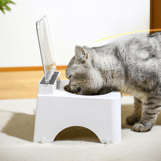 Distributeur automatique de croquettes pour chat chat mange croquettes posture