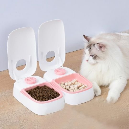 Distributeur automatique de croquettes pour chat  chat regarde distributeur rose