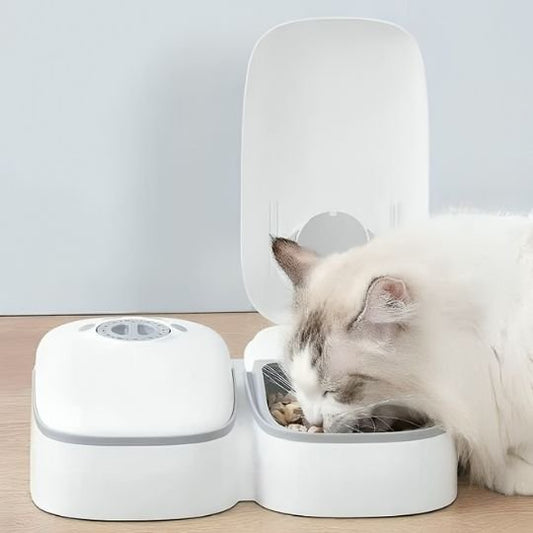 Distributeur automatique de croquettes pour chat chat mange croquettes 