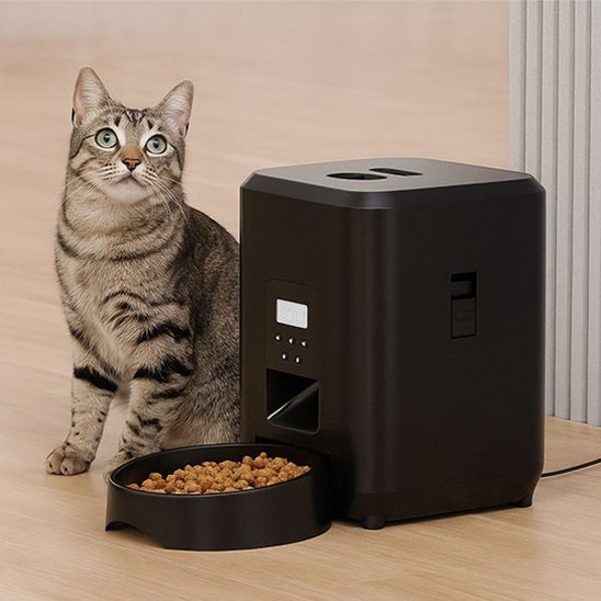 Distributeur de croquettes automatique chat chat a cote distributeur