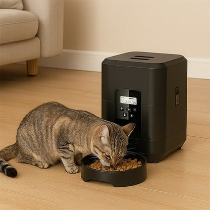 Distributeur de croquettes automatique chat chat mange croquettes distributeur