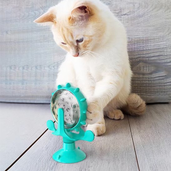Distributeur de croquettes pour chat chat joue patte distributeur turquoise