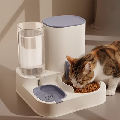 Distributeur de croquettes pour chat chat mange croquettes distributeur bleu