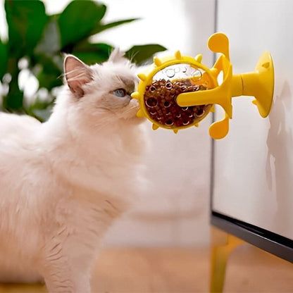 Distributeur de croquettes pour chat chat sent distributeur colle mur
