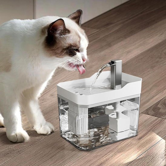 Distributeur eau chat chat boit eau distributeur blanc