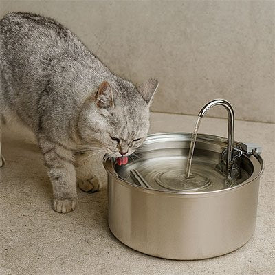 Fontaine a eau pour chat chat boit eau fontaine robinet coule