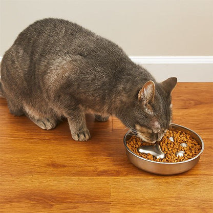 Gamelle anti-glouton chat chat mange croquettes