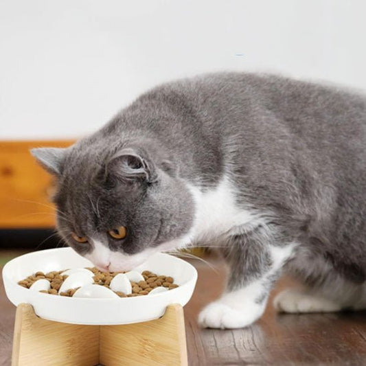 Gamelle anti glouton chat chat occupe manger croquette gamelle