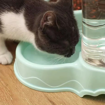 Gamelle chat automatique chat boit gamelle turquoise