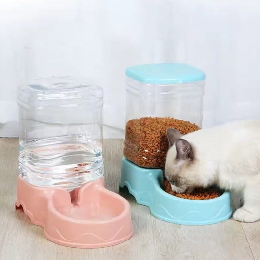 Gamelle chat automatique chat mange croquette gamelle turquoise