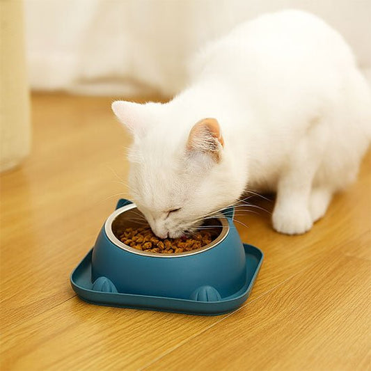 Gamelle chat chat mange croquettes gamelle bleu marine
