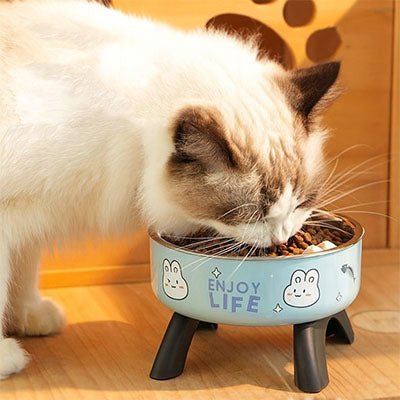 Gamelle chat surelevee chat mange croquette