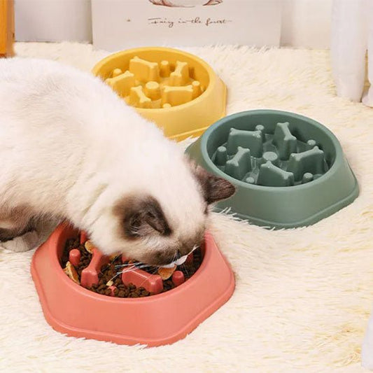 Gamelles anti glouton chat chat mange gamelle rose