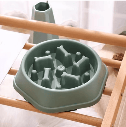 Gamelles anti glouton chat couleur verte