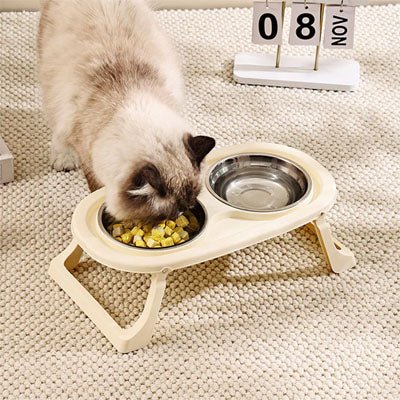 Gamelles chat chat mange croquettes gamelle beige