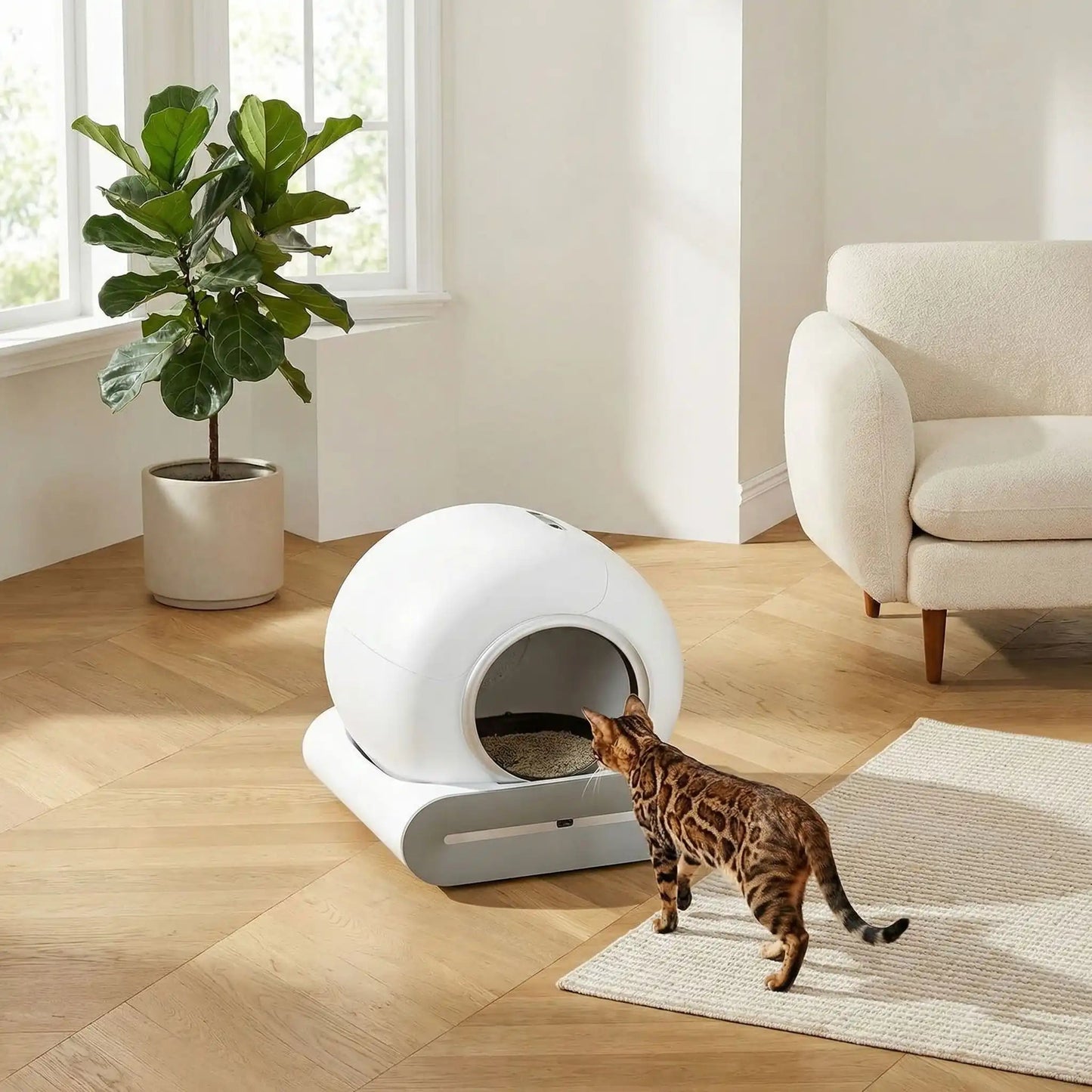 Litière automatique chat aller vers litière grand espace