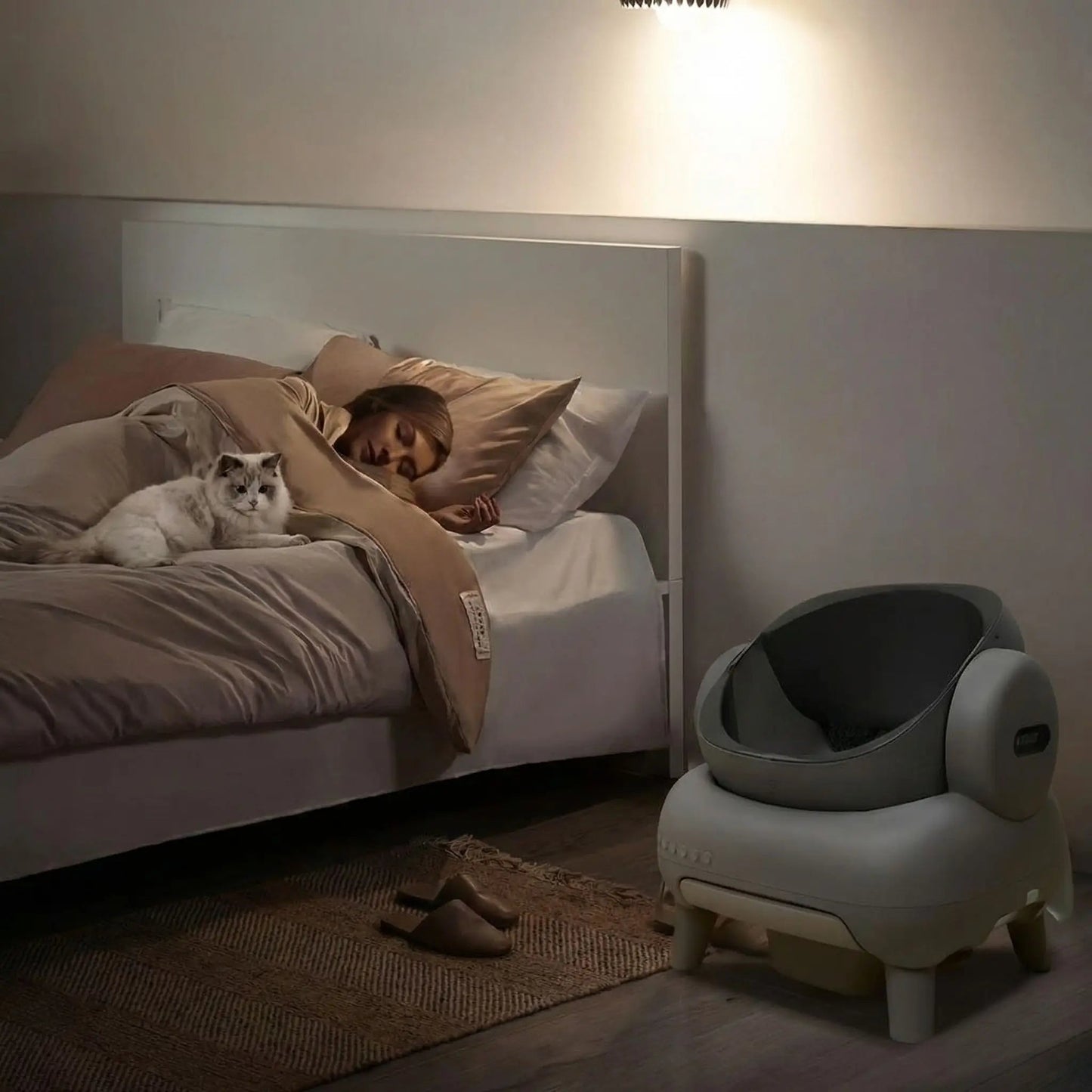 Litière automatique chat moment de bien-être