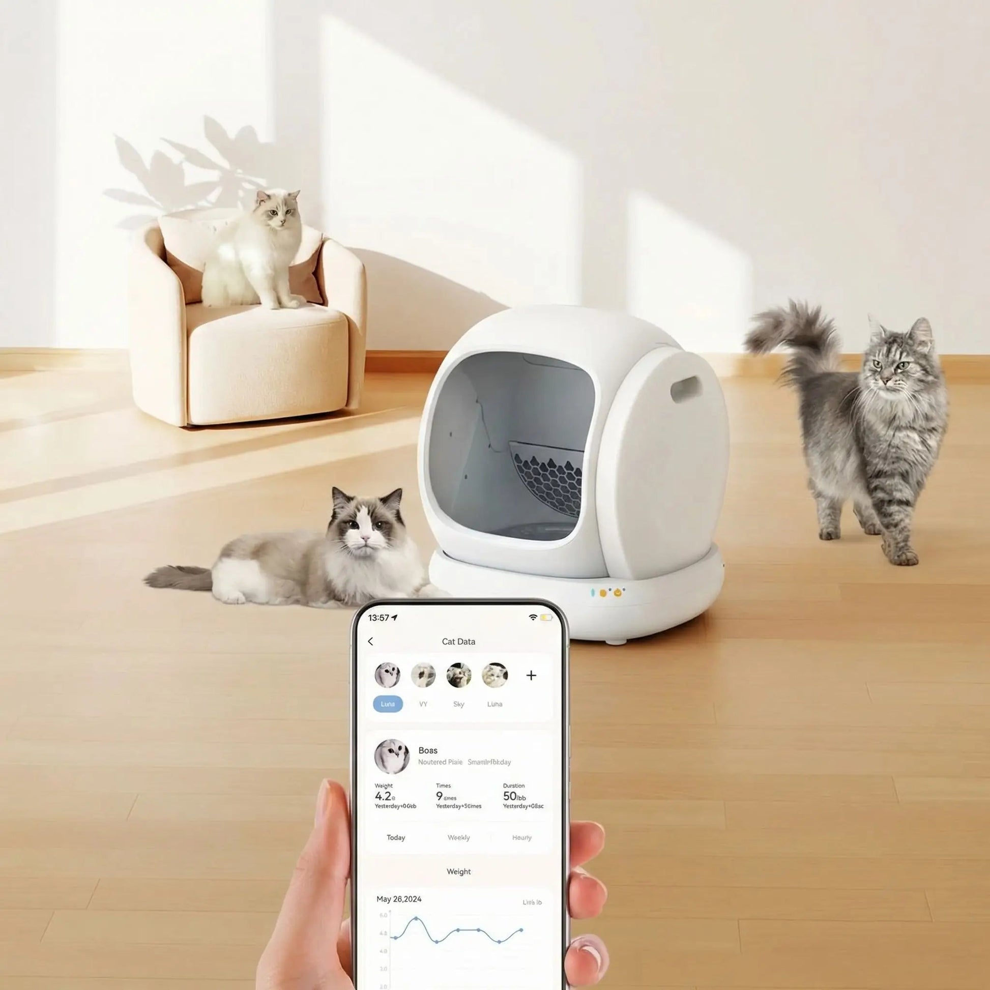 Litière automatique pour chat application mobile