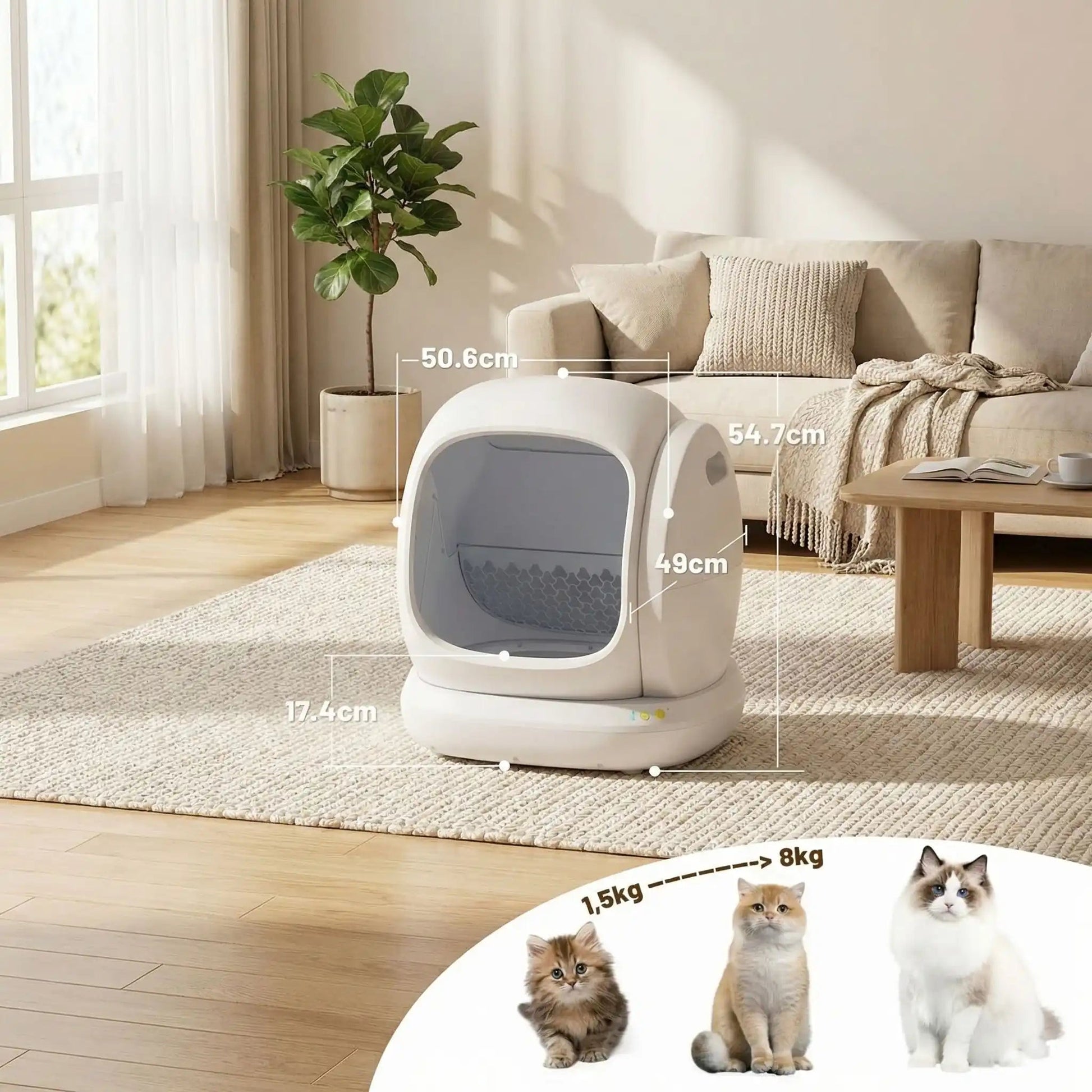 Litière automatique pour chat mesure litière et poids chats