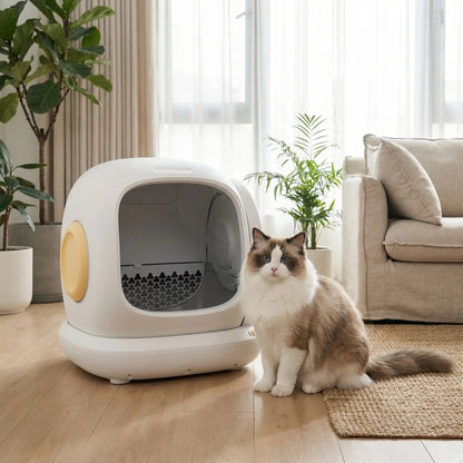 Litière automatique pour chat presentation