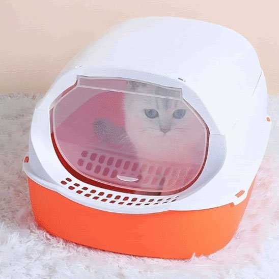 Litière bac chat chat dans bac couleur orange