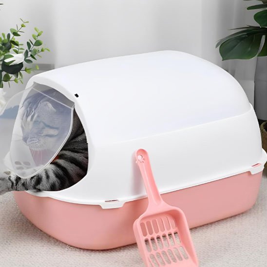 Litière bac chat chat joue dans bac couleur rose