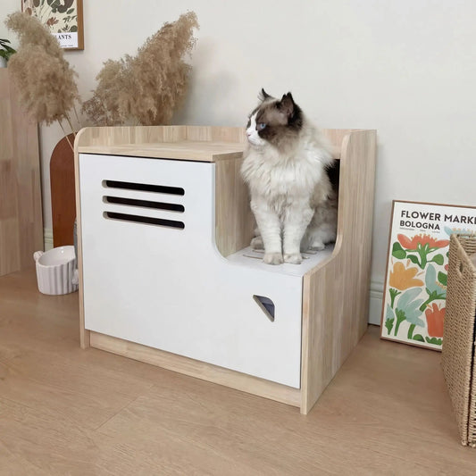 Litière-chat-meuble-présentation