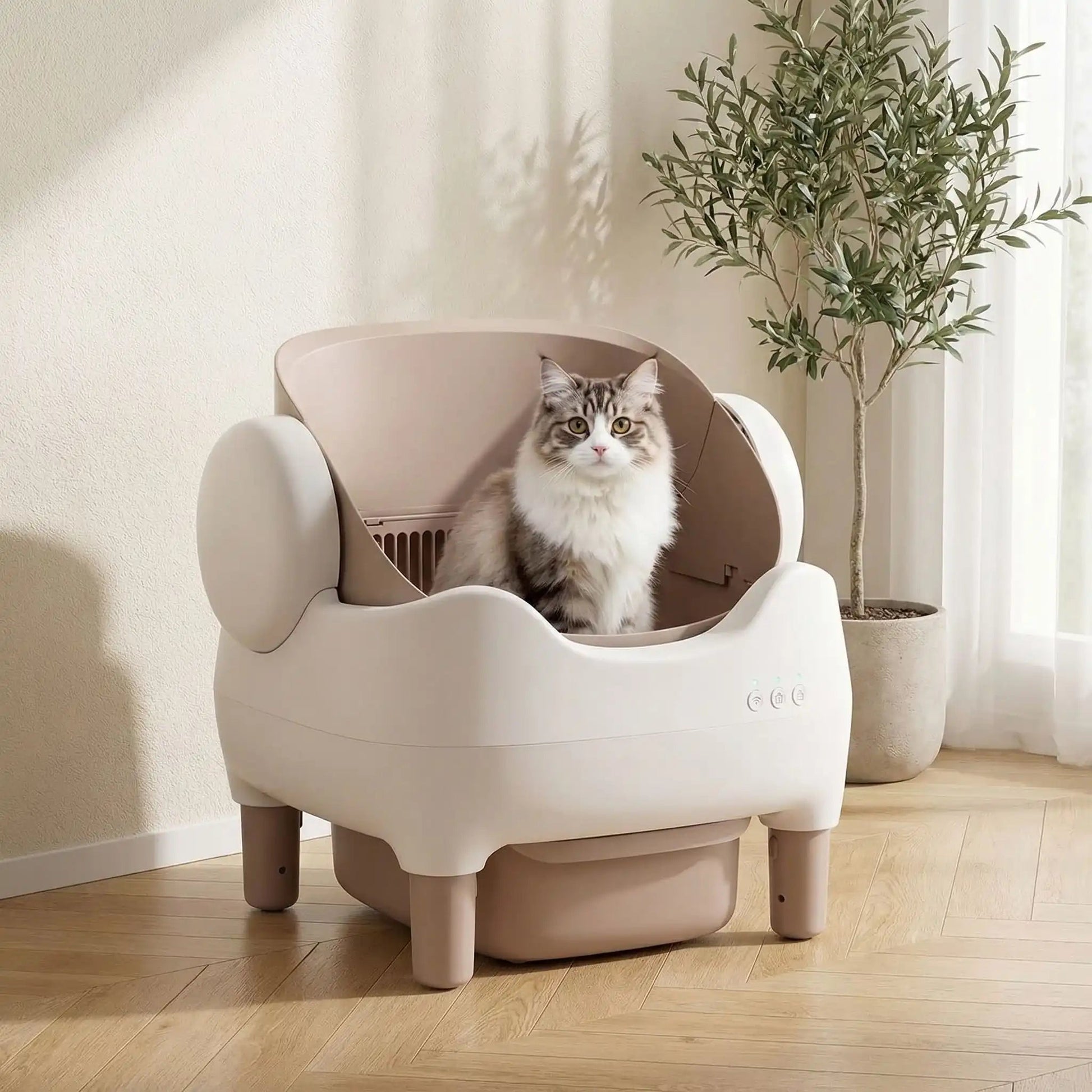 Litière-pour-chats-autonettoyante-présentation