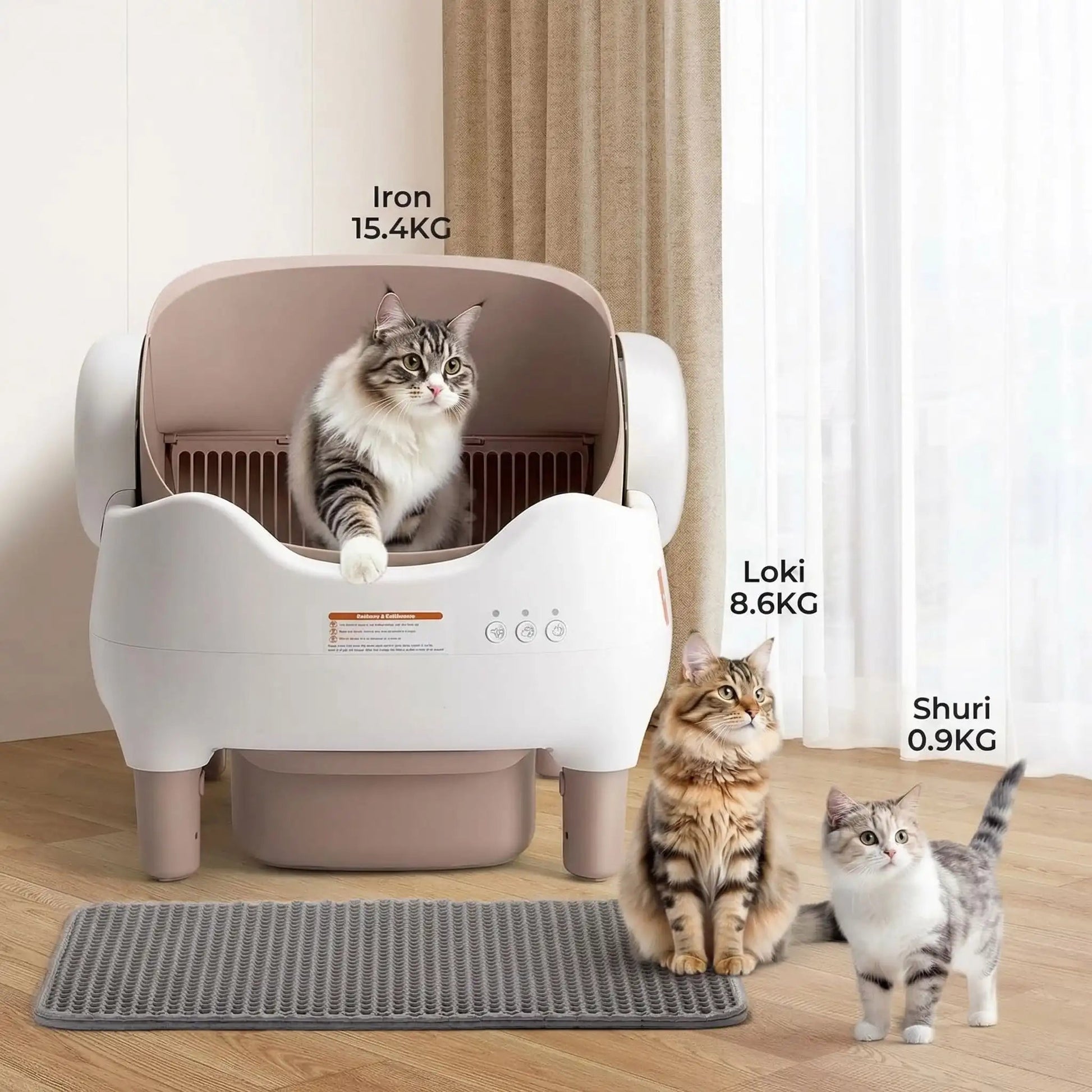 Litière pour chats autonettoyante tous types et tailles chats