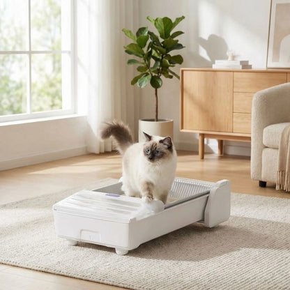 Litiere semi automatique chat presentation