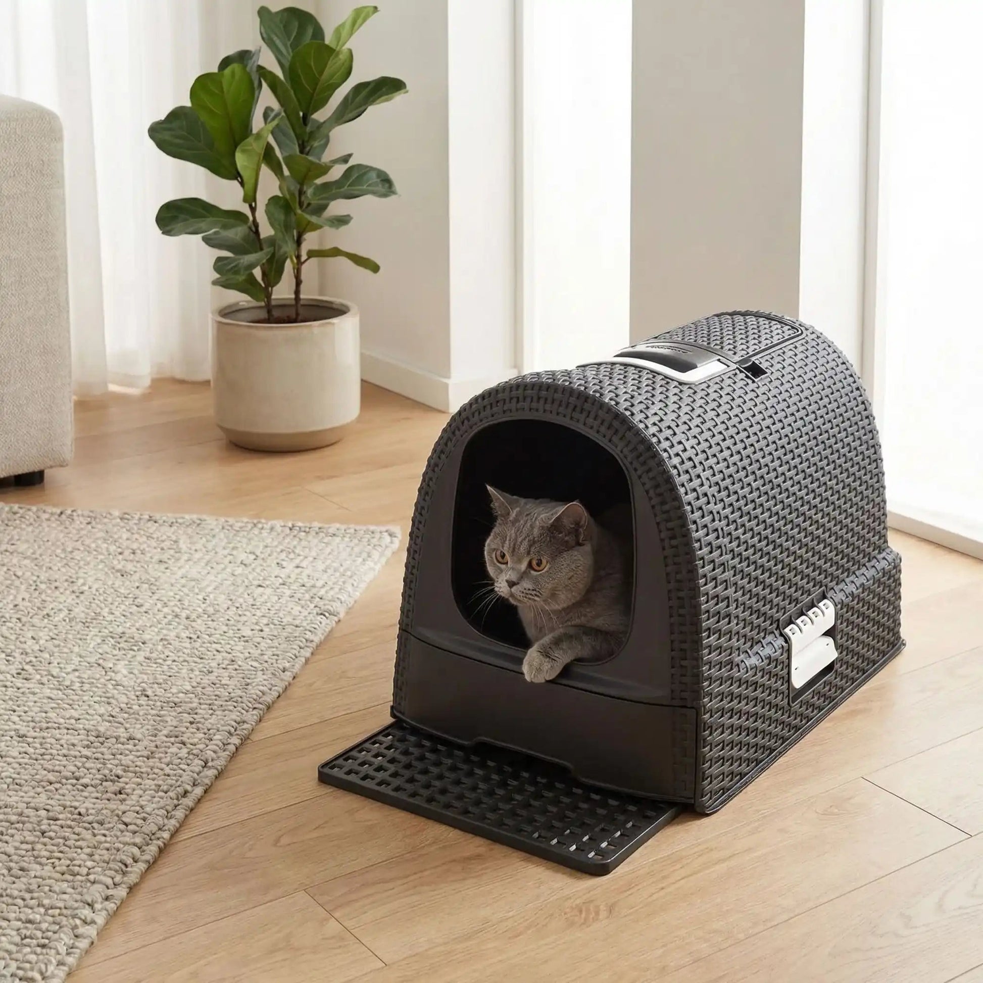 Maison de toilette chat espace spacieux
