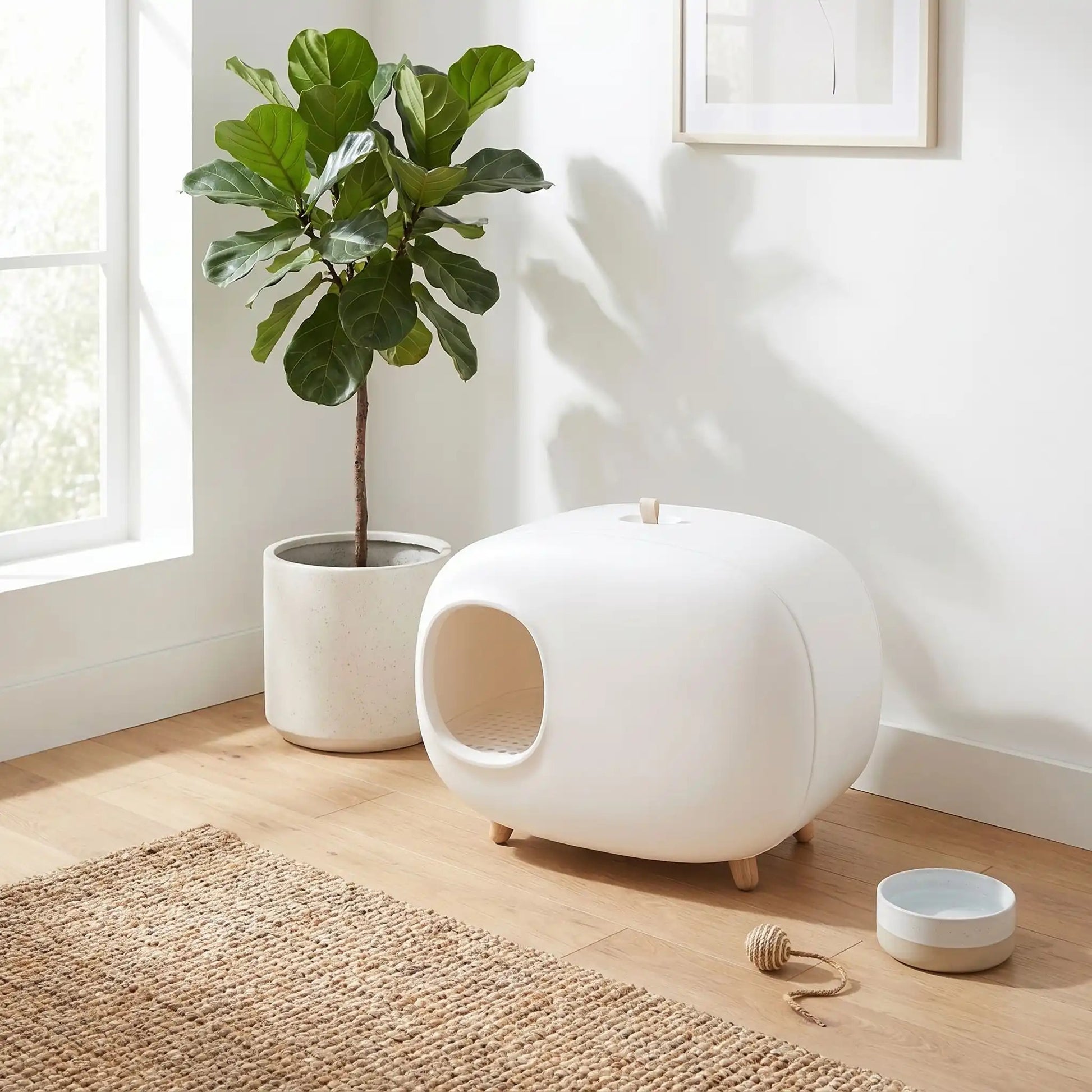 Maison de toilette pour chat design présentation