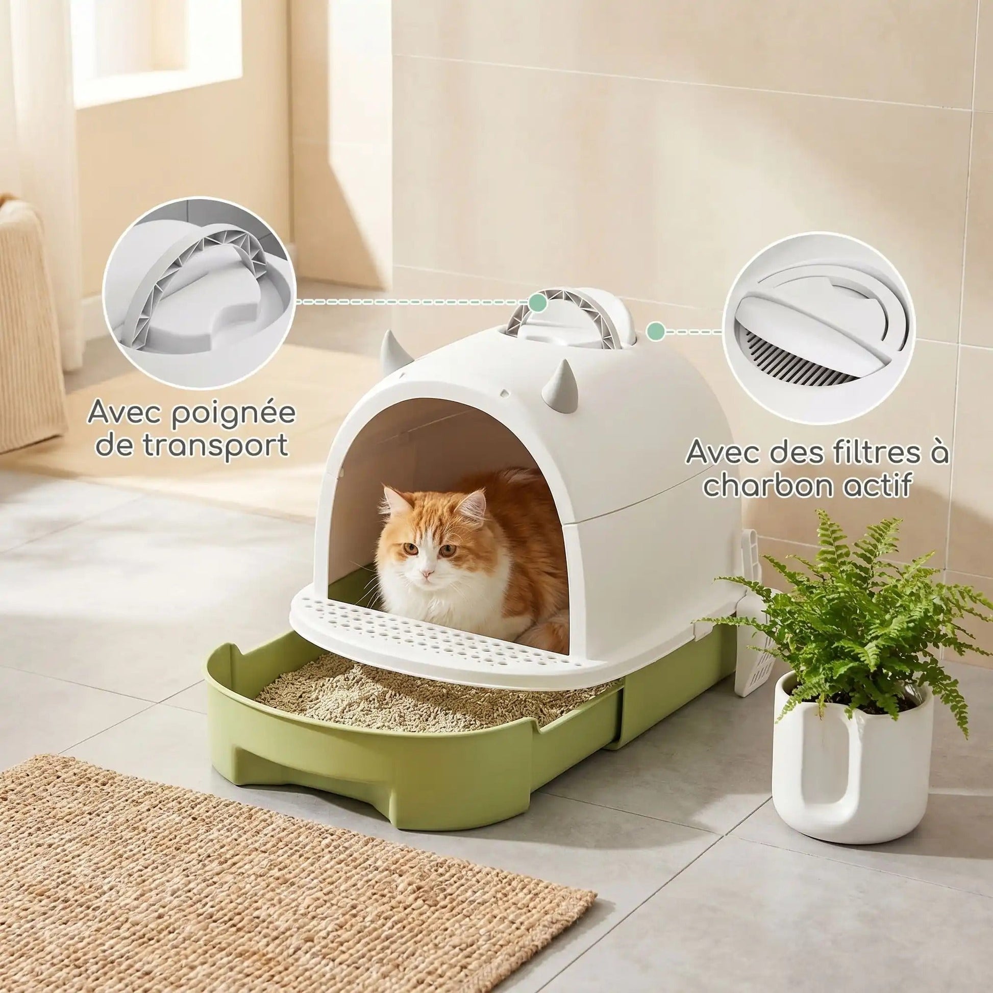Maison toilette chat intérieur frais sans odeurs 