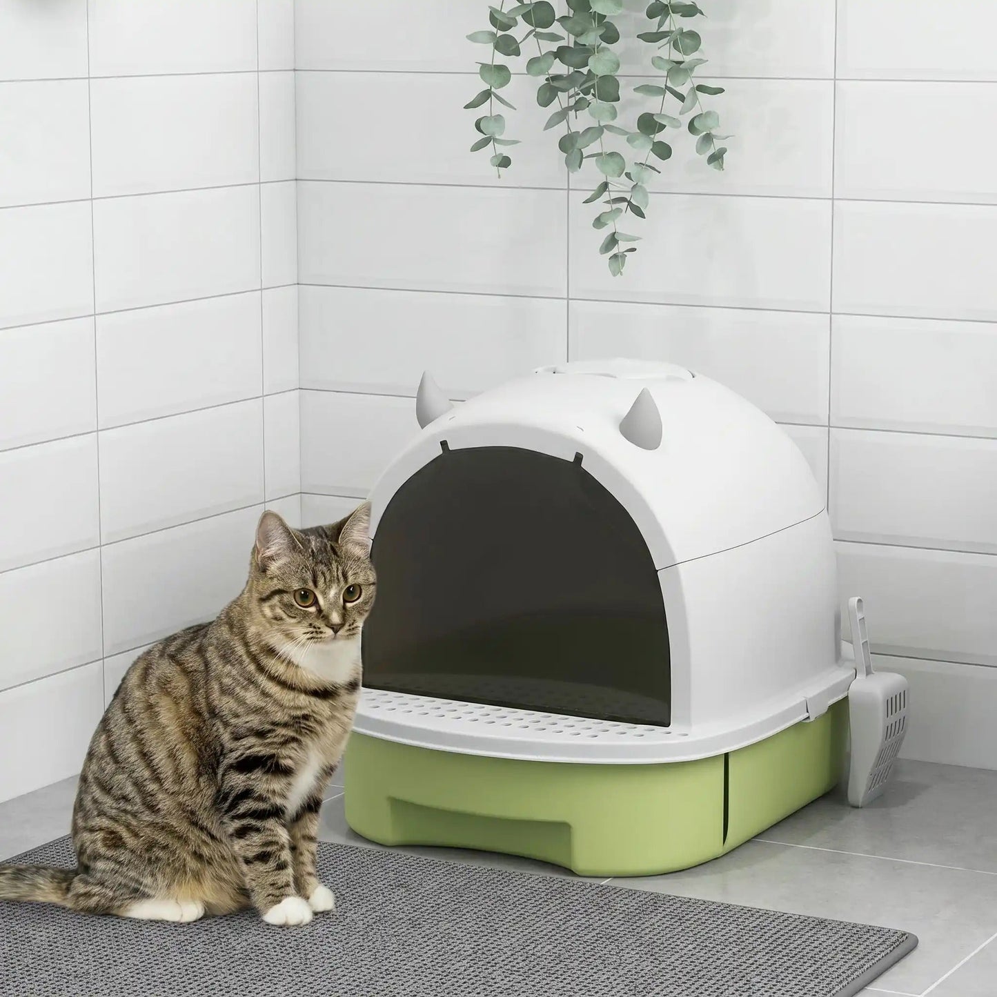 Maison toilette chat nettoyage sans effort