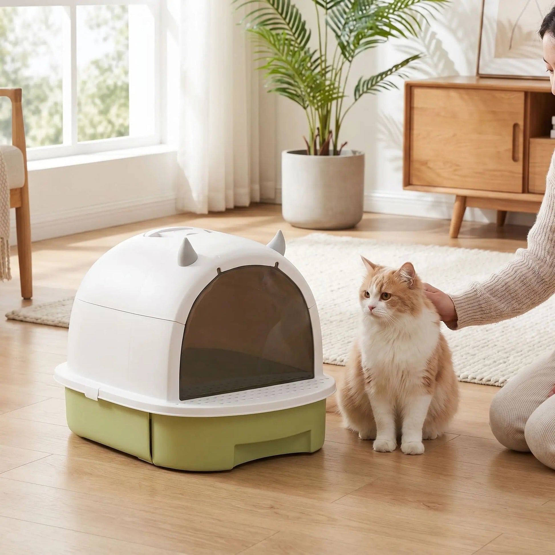 Maison toilette chat sérinité avec votre compagnon
