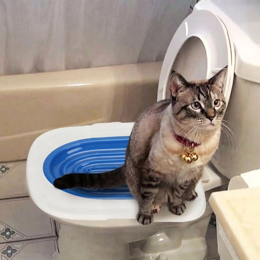 Toilette chat présentation